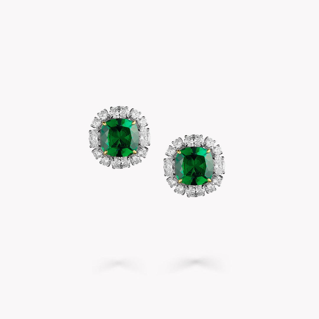 Fancy Shape Earrings
