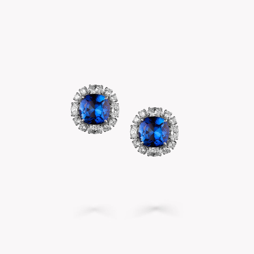 Fancy Shape Earrings
