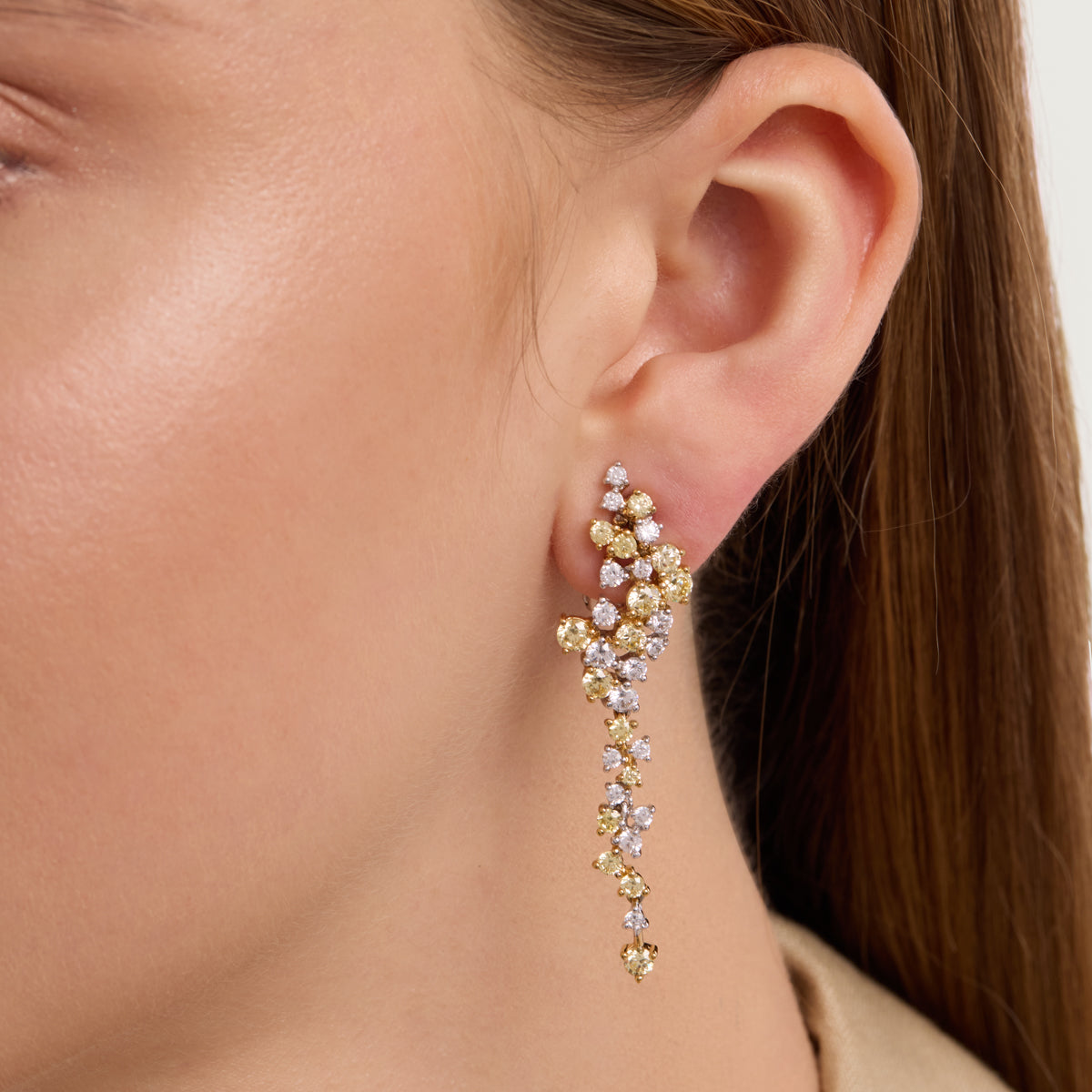 أقراط الكناري المتدلية مزينة