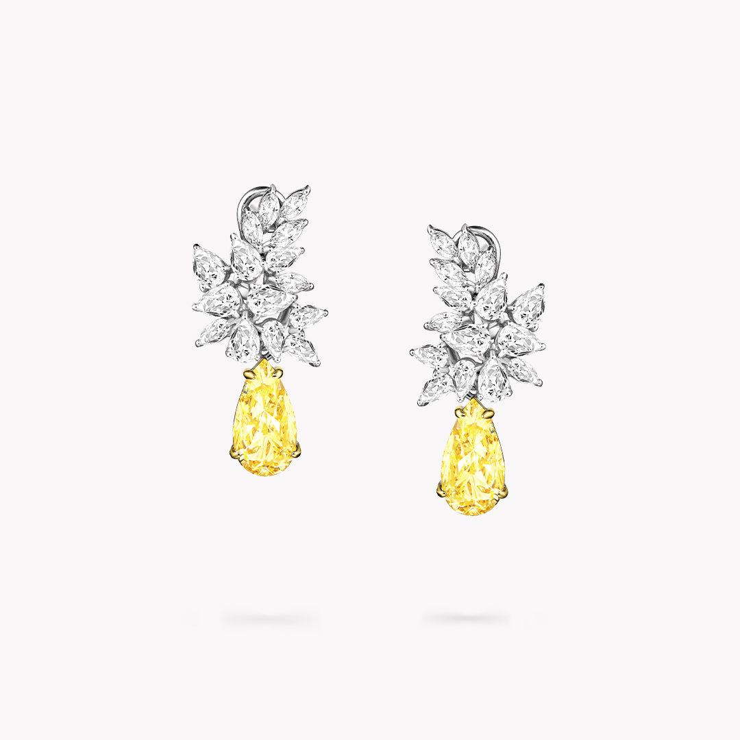 Fancy Shape Cluster Drop Earrings