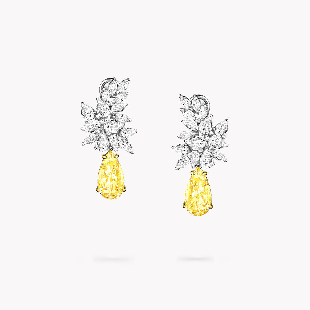 Fancy Shape Cluster Drop Earrings
