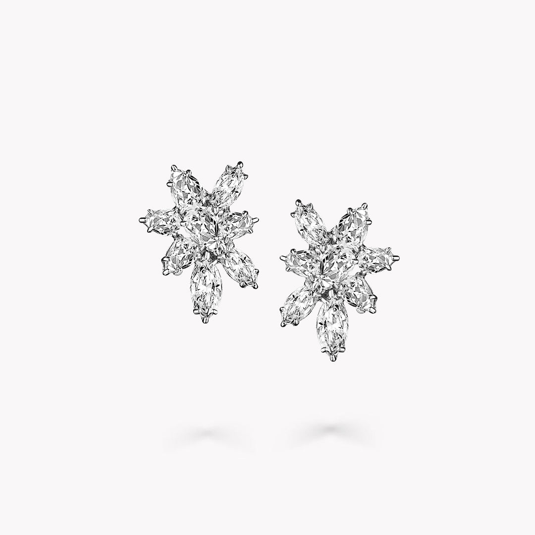 Fancy Shape Earrings