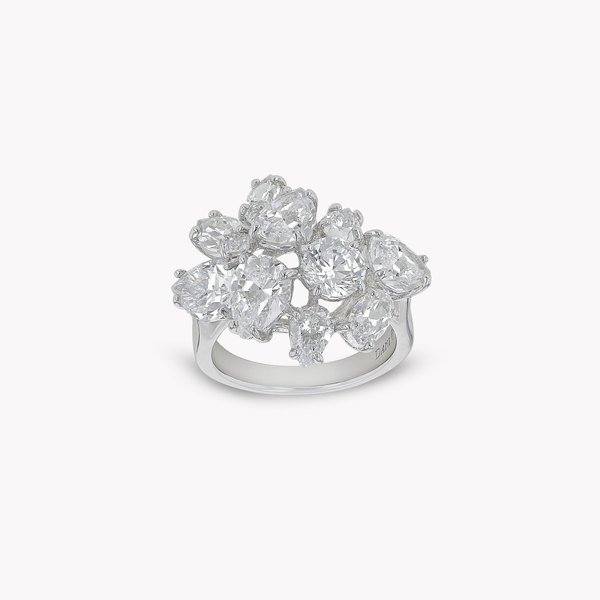 Fancy Shape Ring