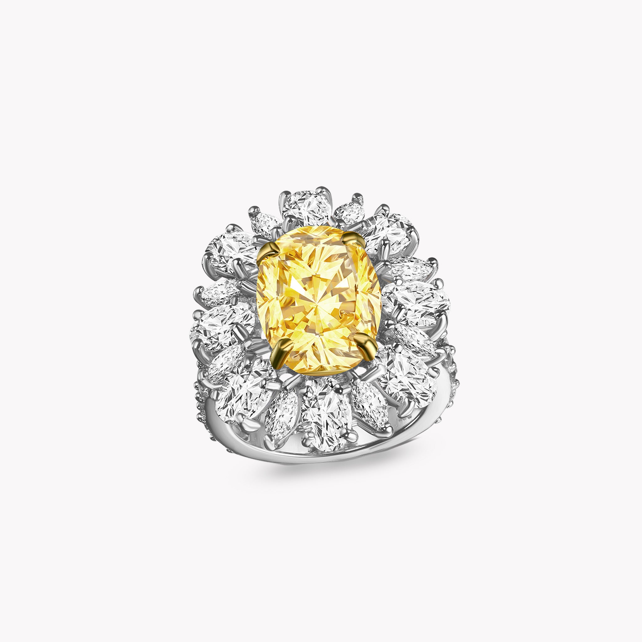 Fancy Shape Ring