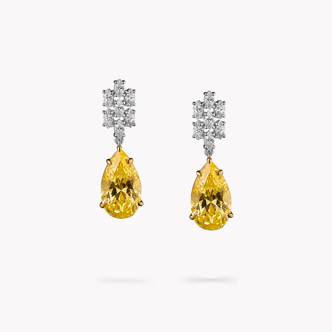 Fancy Shape Drop Earrings