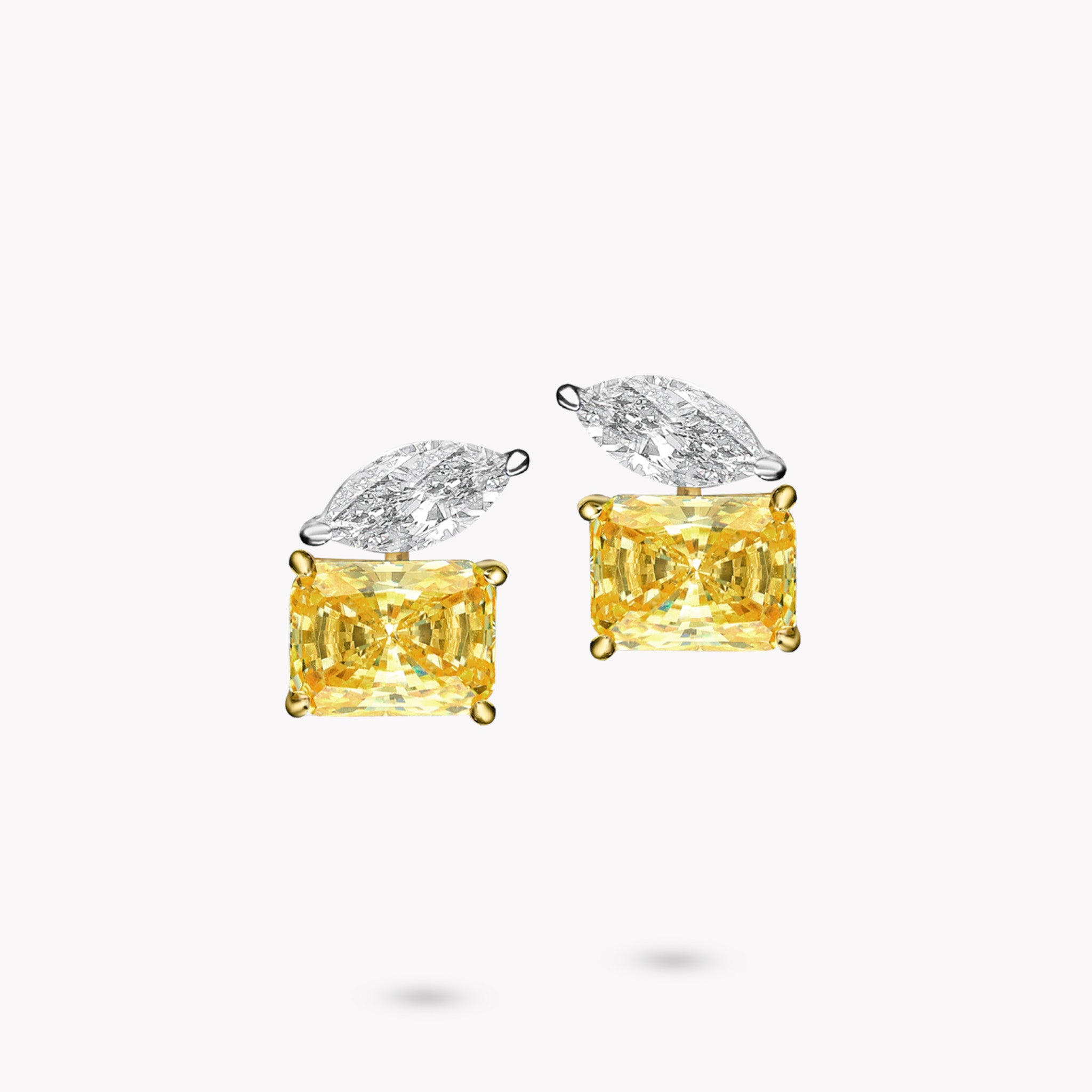 Fancy Shape Earrings