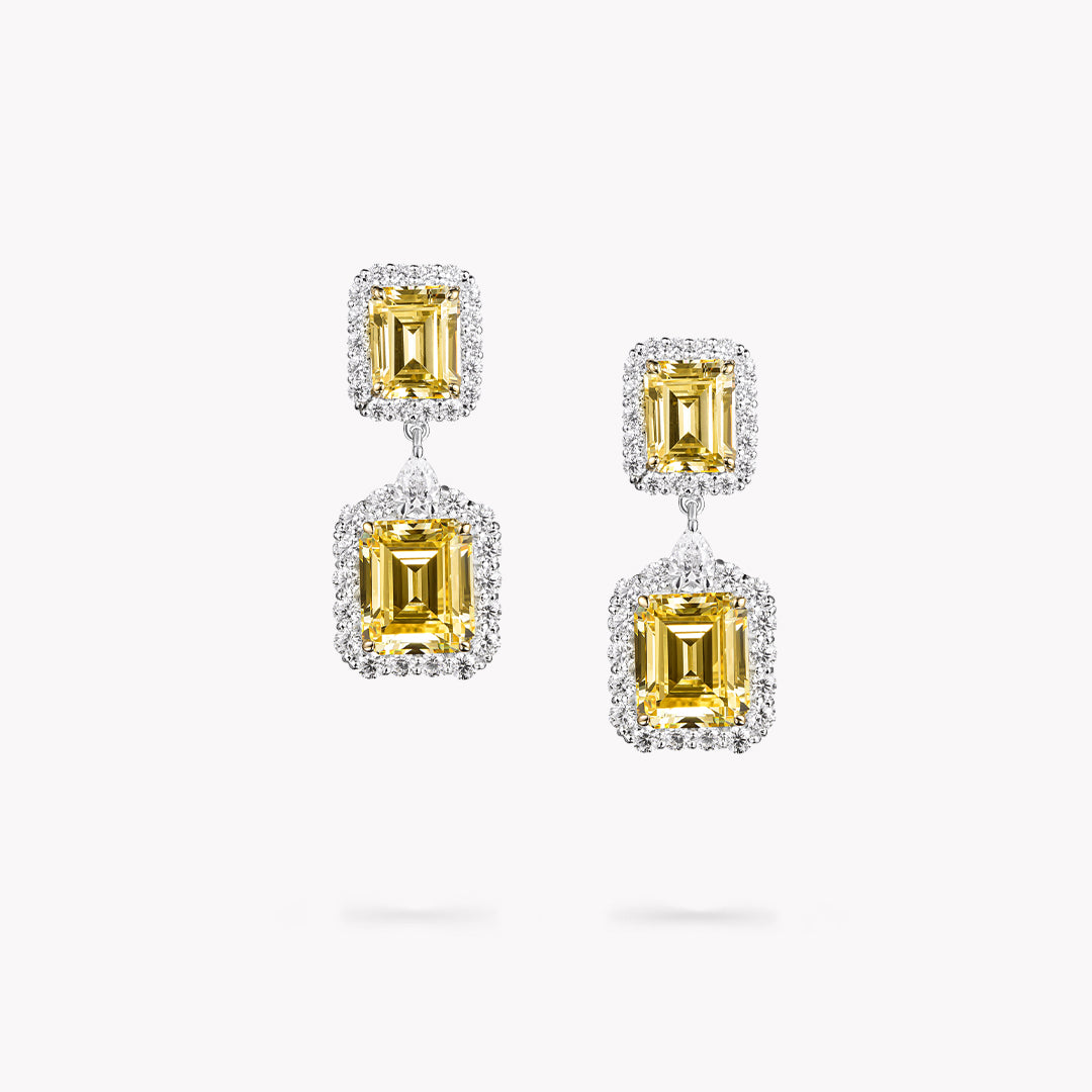 DANI 'Halo' 2 Stone Drop Earrings