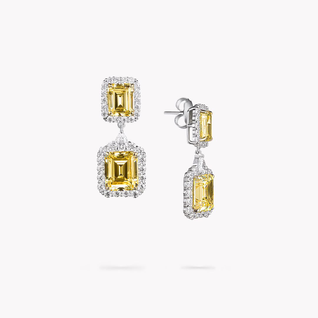 DANI 'Halo' 2 Stone Drop Earrings