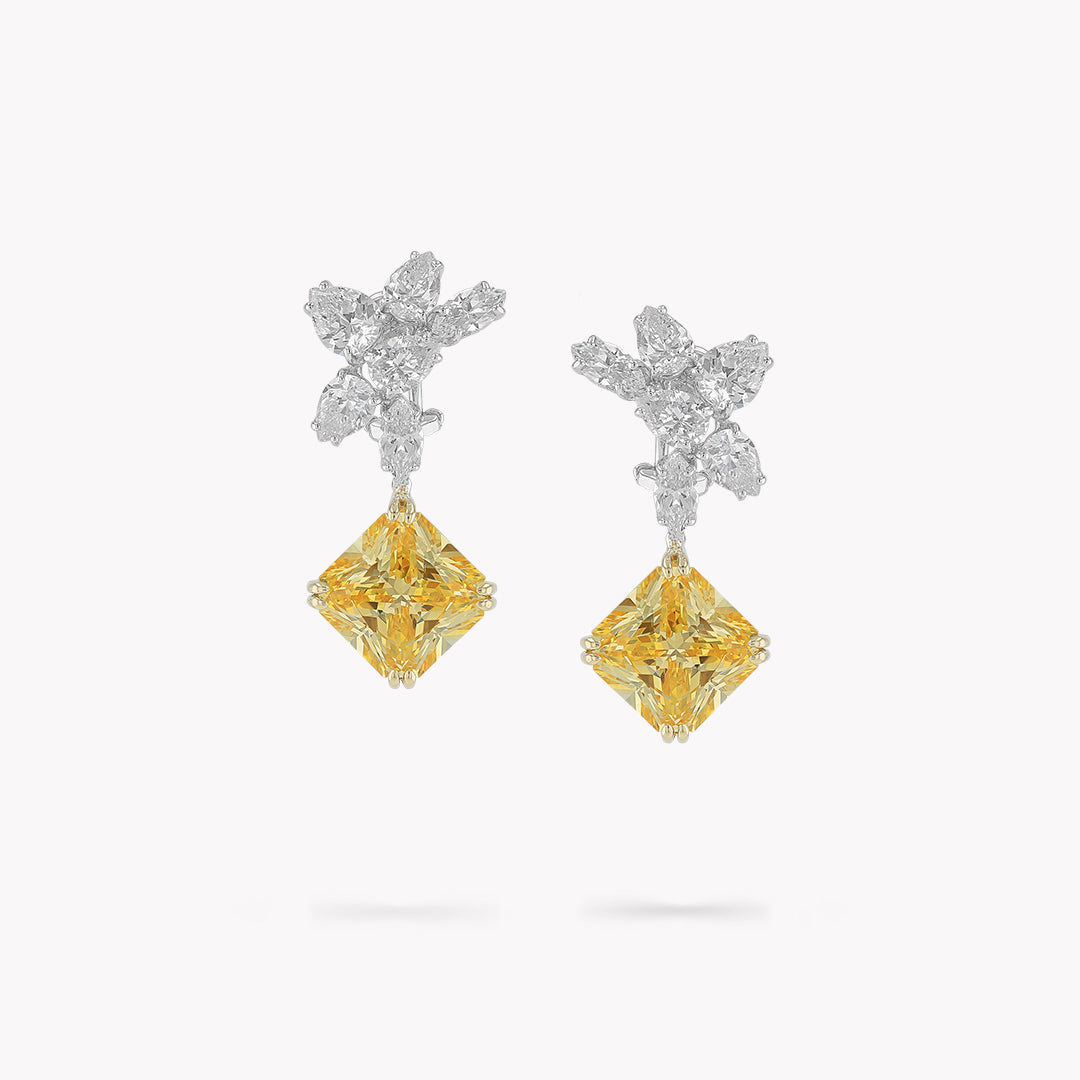 Fancy Shape Drop Earrings