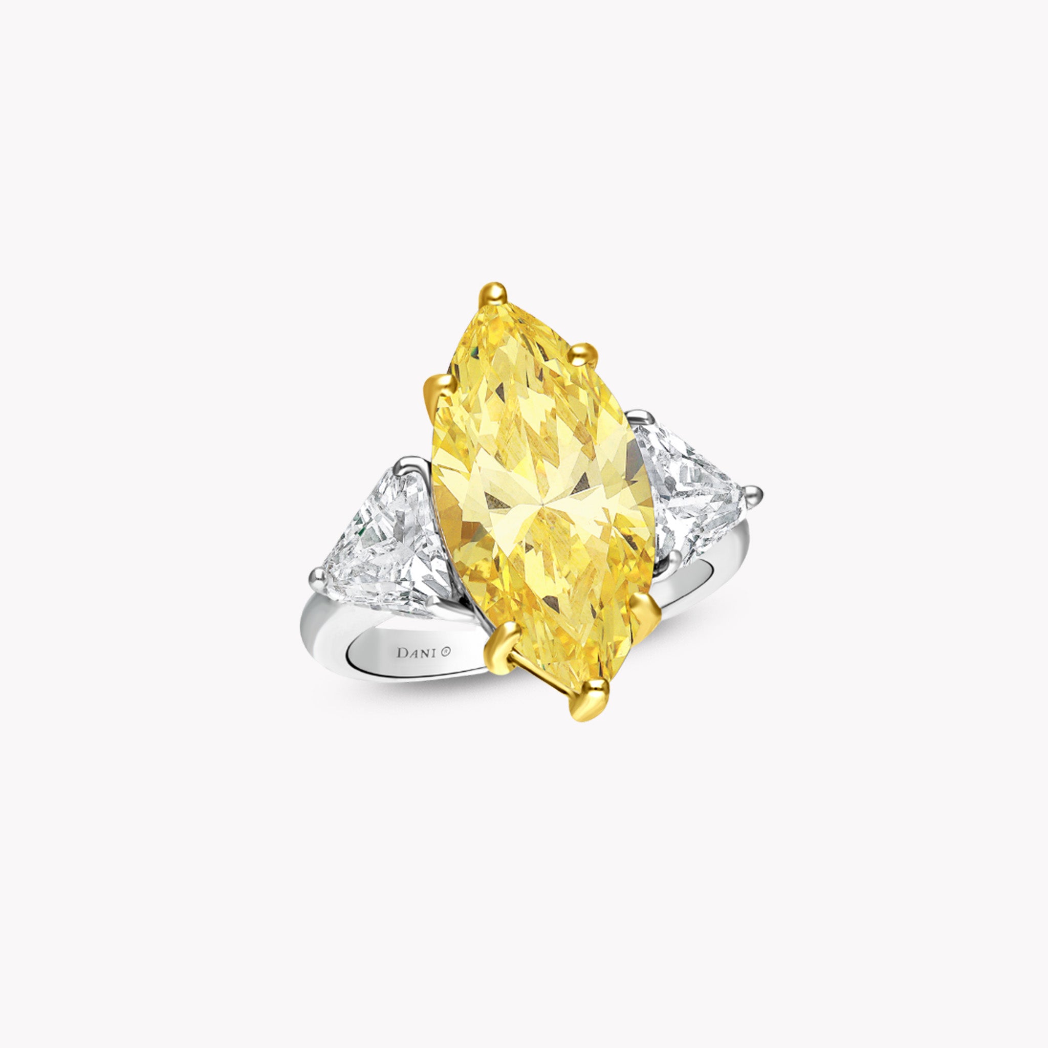 Fancy Shape Ring