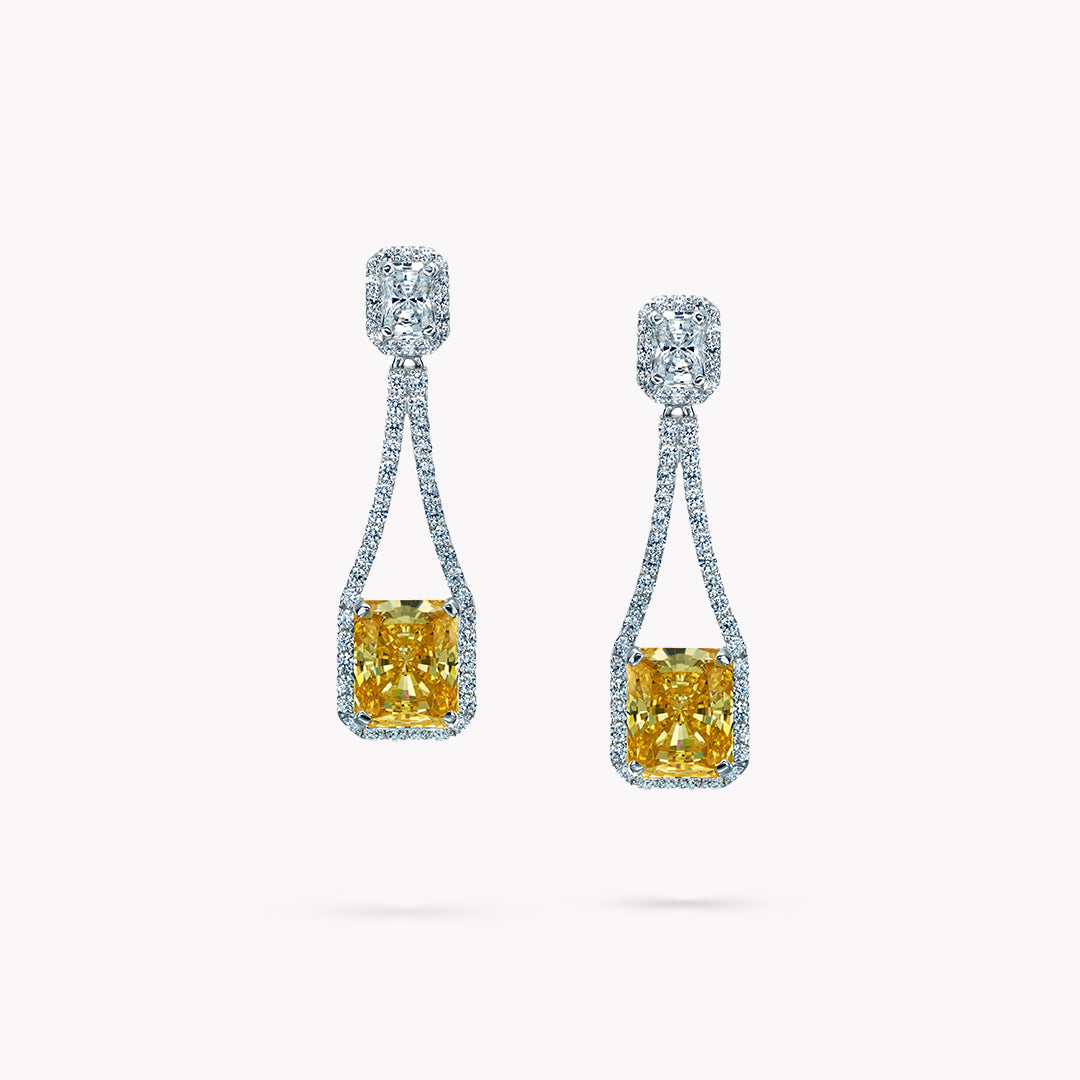 Fancy Shape Drop Earrings