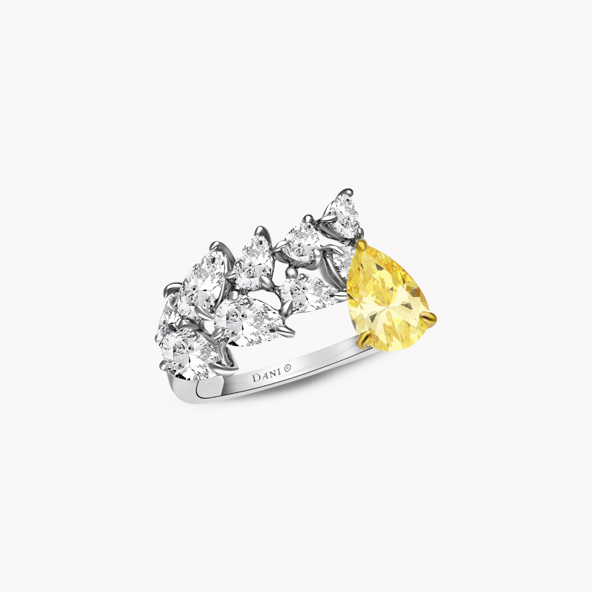 Fancy Shape Ring